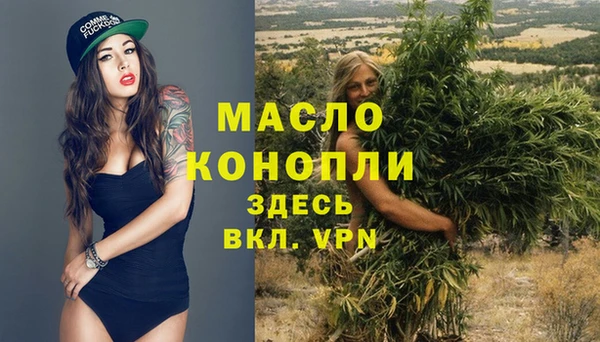 молекула духа Богородск