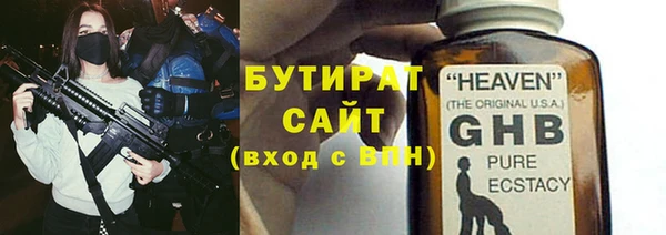 индика Богородицк