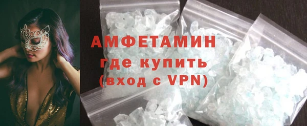 индика Богородицк