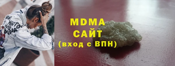 индика Богородицк