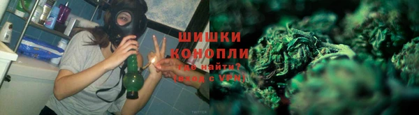 молекула духа Богородск