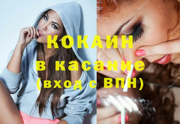 индика Богородицк