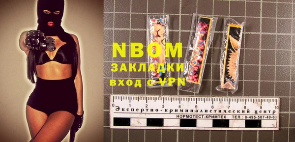 индика Богородицк