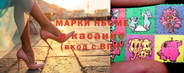 индика Богородицк