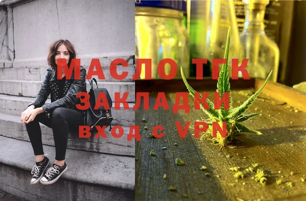 индика Богородицк