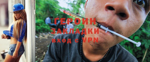 индика Богородицк