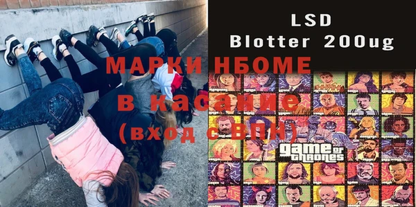 индика Богородицк