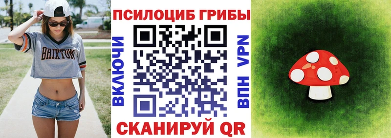 Купить где  Ипатово  Псилоцибиновые грибы Magic Shrooms 